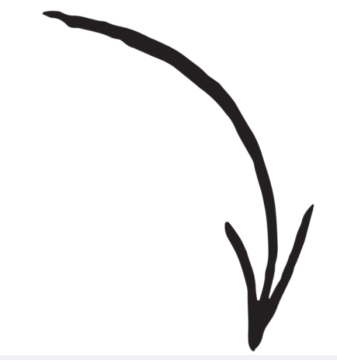 Arrow